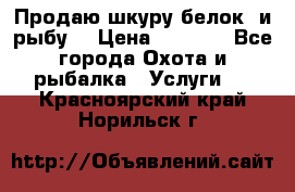 Продаю шкуру белок  и рыбу  › Цена ­ 1 500 - Все города Охота и рыбалка » Услуги   . Красноярский край,Норильск г.